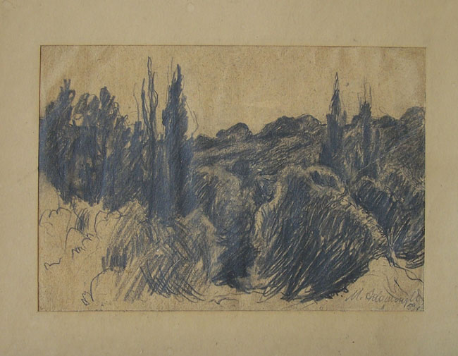 Plenerowy pejzaż ze Świecia