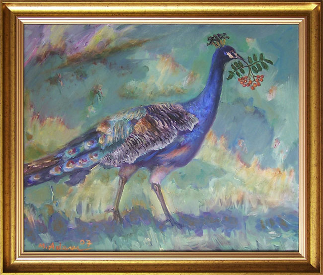 Paw z Łazienek Królewskich w Warszawie