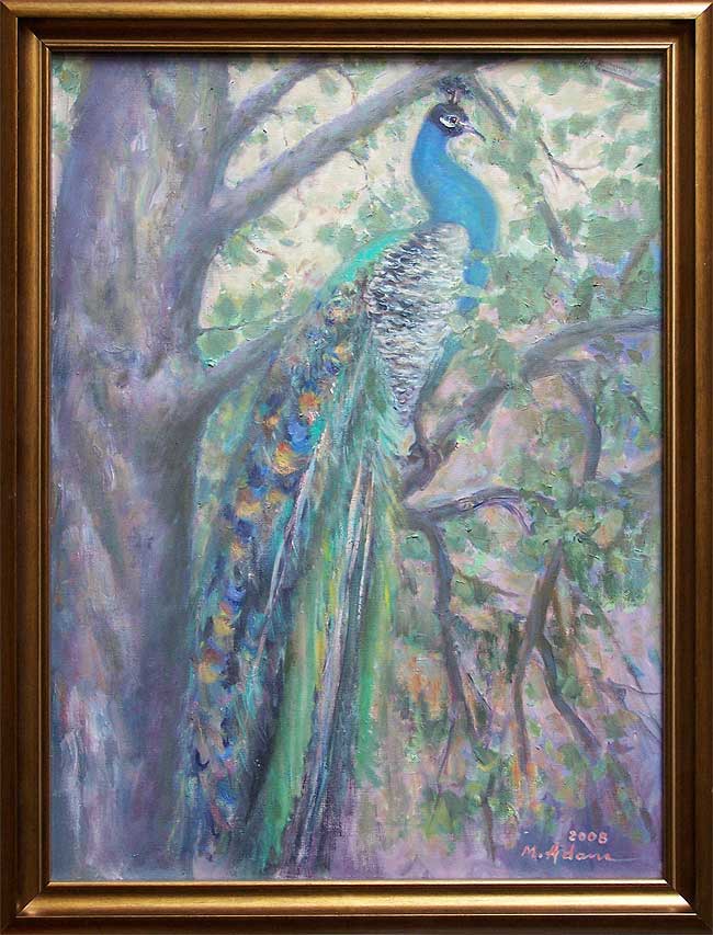 Paw z Królewskich Łazienek