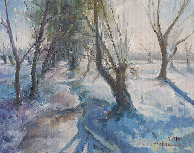 Polska zima 2010 roku