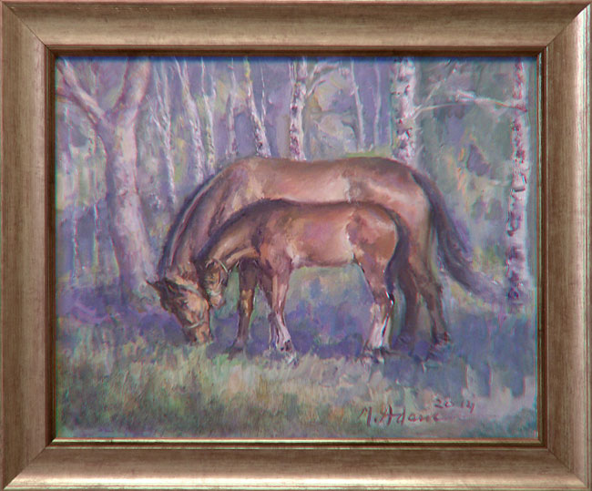 Angloaraby z Karczmisk